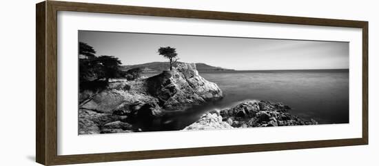 Cypress Tree at the Coast, the Lone Cypress, 17 Mile Drive, Carmel, California, USA--Framed Photographic Print