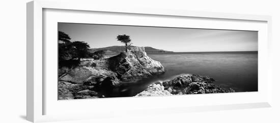 Cypress Tree at the Coast, the Lone Cypress, 17 Mile Drive, Carmel, California, USA-null-Framed Photographic Print