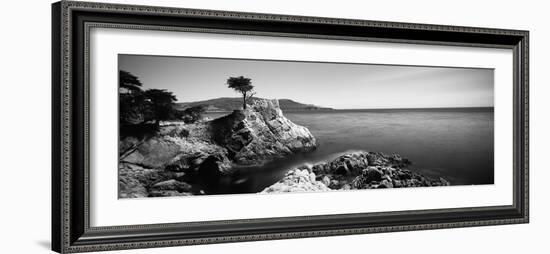 Cypress Tree at the Coast, the Lone Cypress, 17 Mile Drive, Carmel, California, USA-null-Framed Photographic Print