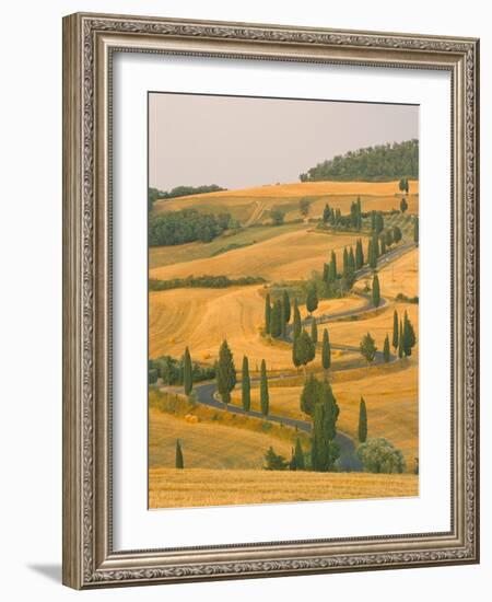 Cypress Trees Along Rural Road Near Pienza, Val D'Orica, Siena Province, Tuscany, Italy, Europe-Sergio Pitamitz-Framed Photographic Print