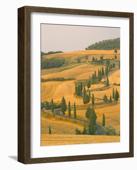 Cypress Trees Along Rural Road Near Pienza, Val D'Orica, Siena Province, Tuscany, Italy, Europe-Sergio Pitamitz-Framed Photographic Print