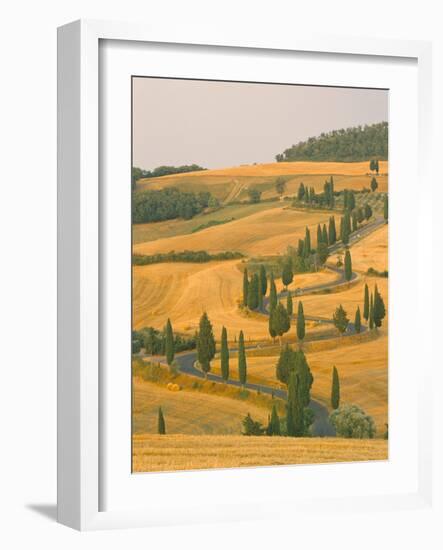 Cypress Trees Along Rural Road Near Pienza, Val D'Orica, Siena Province, Tuscany, Italy, Europe-Sergio Pitamitz-Framed Photographic Print