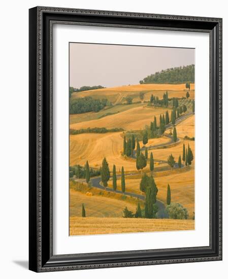 Cypress Trees Along Rural Road Near Pienza, Val D'Orica, Siena Province, Tuscany, Italy, Europe-Sergio Pitamitz-Framed Photographic Print