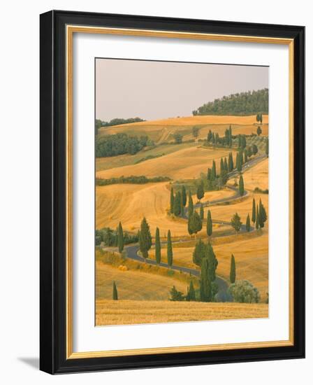 Cypress Trees Along Rural Road Near Pienza, Val D'Orica, Siena Province, Tuscany, Italy, Europe-Sergio Pitamitz-Framed Photographic Print