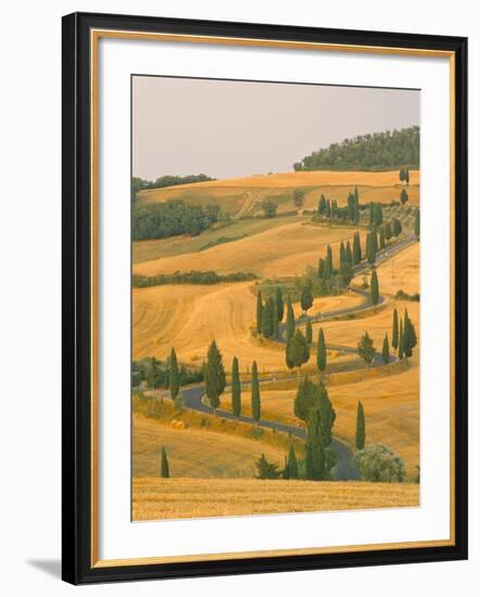 Cypress Trees Along Rural Road Near Pienza, Val D'Orica, Siena Province, Tuscany, Italy, Europe-Sergio Pitamitz-Framed Photographic Print