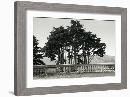 Cypress Trees and Balusters-Christian Peacock-Framed Art Print