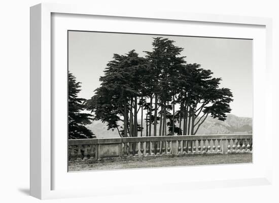 Cypress Trees and Balusters-Christian Peacock-Framed Art Print