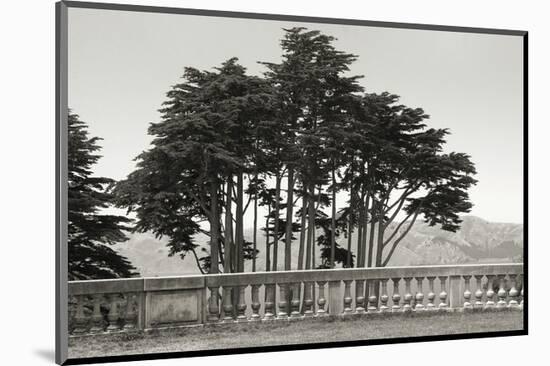 Cypress Trees and Balusters-Christian Peacock-Mounted Art Print