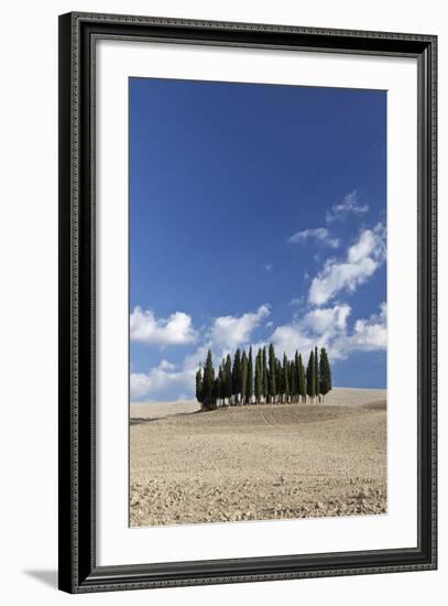 Cypress Trees Near San Quirico D'Orcia, Tuscany, Italy-Julian Castle-Framed Photo