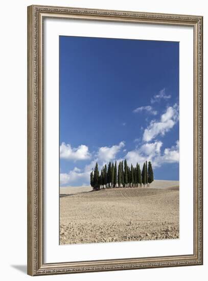 Cypress Trees Near San Quirico D'Orcia, Tuscany, Italy-Julian Castle-Framed Photo