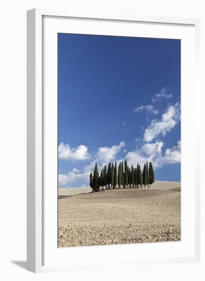 Cypress Trees Near San Quirico D'Orcia, Tuscany, Italy-Julian Castle-Framed Photo