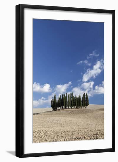 Cypress Trees Near San Quirico D'Orcia, Tuscany, Italy-Julian Castle-Framed Photo