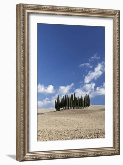 Cypress Trees Near San Quirico D'Orcia, Tuscany, Italy-Julian Castle-Framed Photo