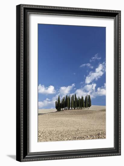 Cypress Trees Near San Quirico D'Orcia, Tuscany, Italy-Julian Castle-Framed Photo