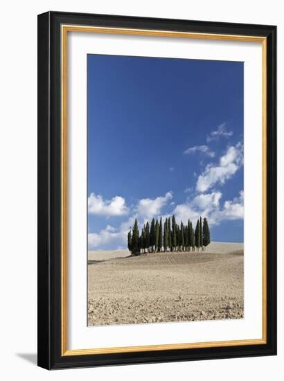 Cypress Trees Near San Quirico D'Orcia, Tuscany, Italy-Julian Castle-Framed Photo