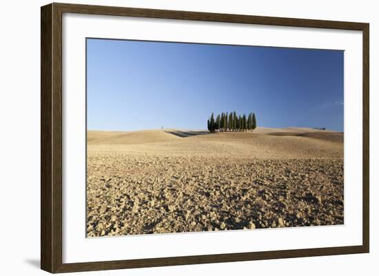 Cypress Trees Near San Quirico D'Orcia, Tuscany, Italy-Julian Castle-Framed Photo