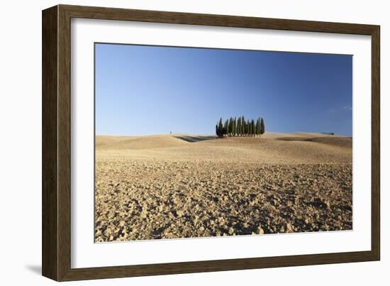 Cypress Trees Near San Quirico D'Orcia, Tuscany, Italy-Julian Castle-Framed Photo