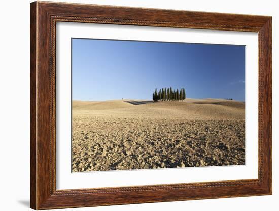 Cypress Trees Near San Quirico D'Orcia, Tuscany, Italy-Julian Castle-Framed Photo