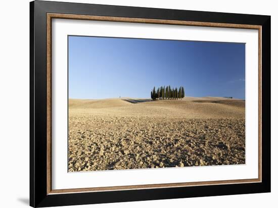 Cypress Trees Near San Quirico D'Orcia, Tuscany, Italy-Julian Castle-Framed Photo