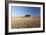 Cypress Trees Near San Quirico D'Orcia, Tuscany, Italy-Julian Castle-Framed Photo