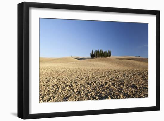 Cypress Trees Near San Quirico D'Orcia, Tuscany, Italy-Julian Castle-Framed Photo