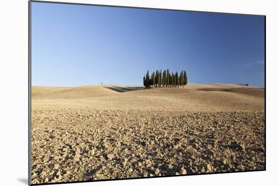 Cypress Trees Near San Quirico D'Orcia, Tuscany, Italy-Julian Castle-Mounted Photo