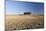 Cypress Trees Near San Quirico D'Orcia, Tuscany, Italy-Julian Castle-Mounted Photo