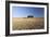 Cypress Trees Near San Quirico D'Orcia, Tuscany, Italy-Julian Castle-Framed Photo