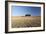 Cypress Trees Near San Quirico D'Orcia, Tuscany, Italy-Julian Castle-Framed Photo