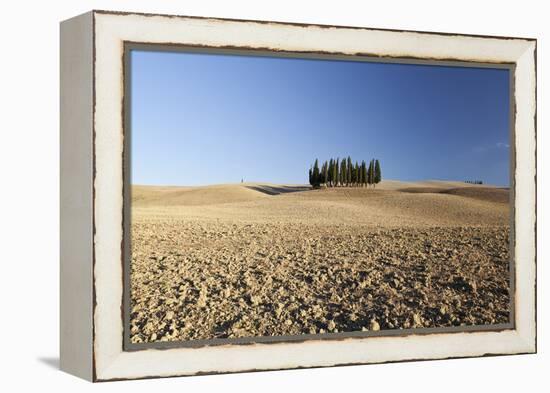 Cypress Trees Near San Quirico D'Orcia, Tuscany, Italy-Julian Castle-Framed Stretched Canvas