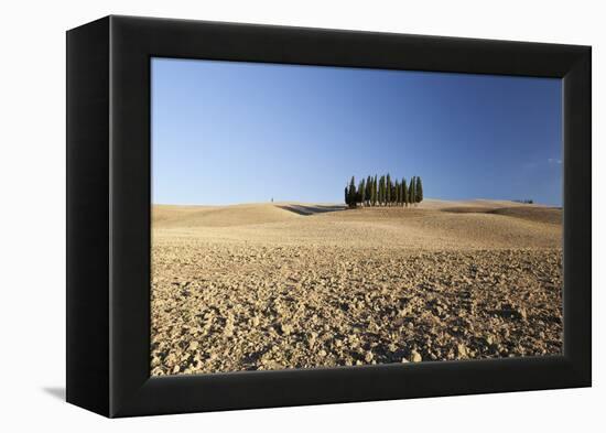 Cypress Trees Near San Quirico D'Orcia, Tuscany, Italy-Julian Castle-Framed Stretched Canvas