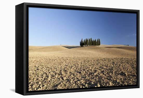 Cypress Trees Near San Quirico D'Orcia, Tuscany, Italy-Julian Castle-Framed Stretched Canvas