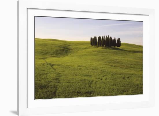 Cypress Trees Tuscany-Bill Philip-Framed Giclee Print