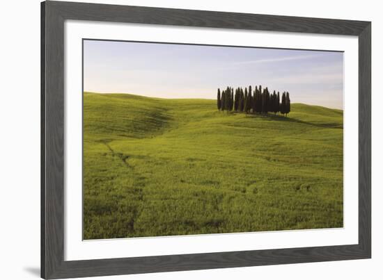 Cypress Trees Tuscany-Bill Philip-Framed Giclee Print