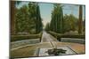 Cypress Walk, Alcazar, in Seville, Spain. Postcard Sent in 1913-French Photographer-Mounted Giclee Print