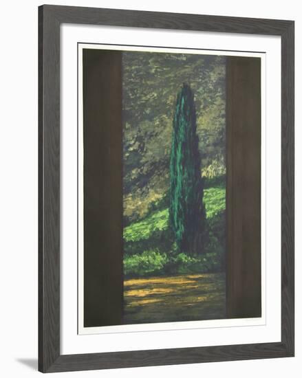 Cypress-Richard Ballard-Framed Limited Edition