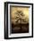 Cypress-Lydia Marano-Framed Photographic Print