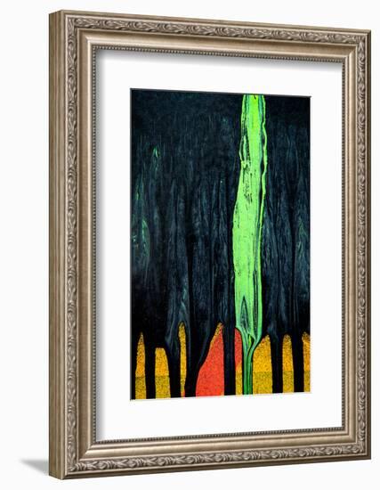 Cypress-Ursula Abresch-Framed Photographic Print