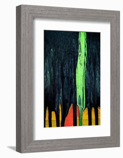 Cypress-Ursula Abresch-Framed Photographic Print