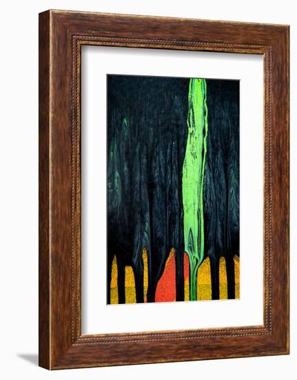 Cypress-Ursula Abresch-Framed Photographic Print