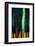 Cypress-Ursula Abresch-Framed Photographic Print