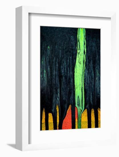 Cypress-Ursula Abresch-Framed Photographic Print