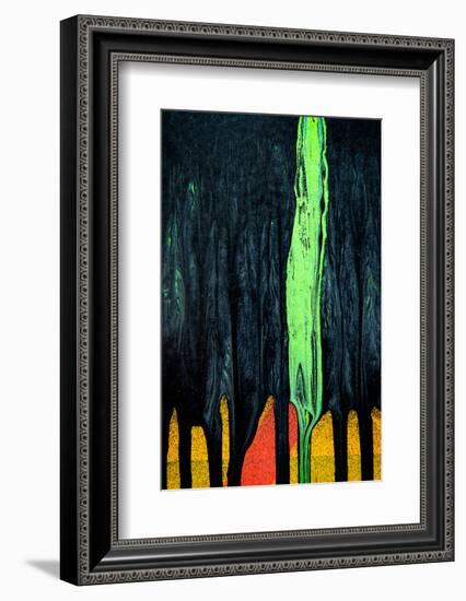 Cypress-Ursula Abresch-Framed Photographic Print