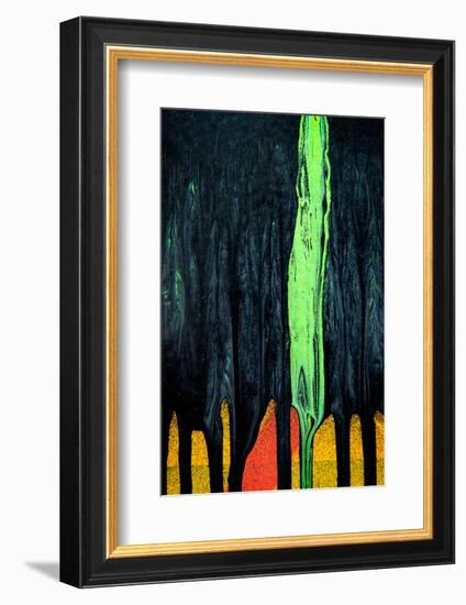 Cypress-Ursula Abresch-Framed Photographic Print