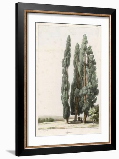 Cypress-Girard-Framed Art Print