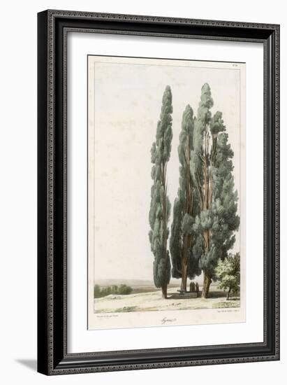 Cypress-Girard-Framed Art Print