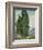 Cypresses, 1889-Vincent van Gogh-Framed Giclee Print