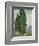 Cypresses, 1889-Vincent van Gogh-Framed Giclee Print