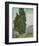 Cypresses, 1889-Vincent van Gogh-Framed Giclee Print