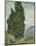 Cypresses, 1889-Vincent van Gogh-Mounted Giclee Print